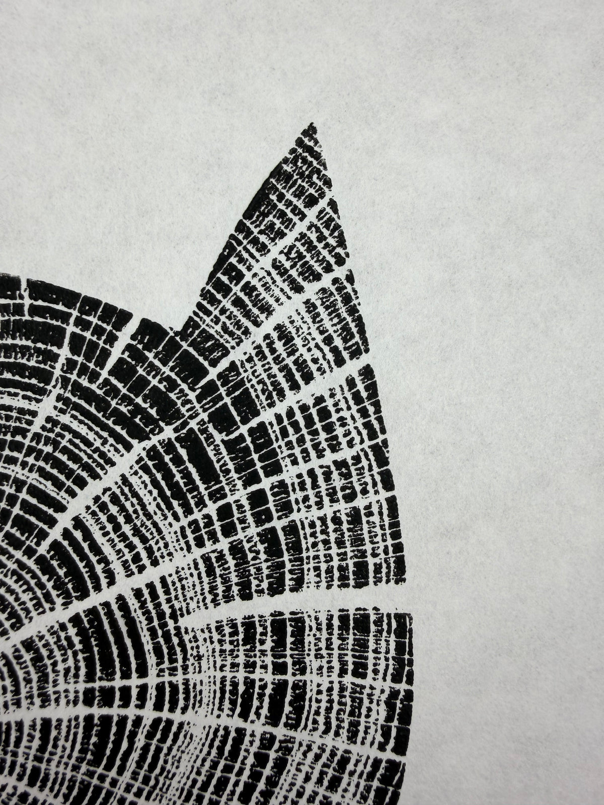 Black Edition No.6