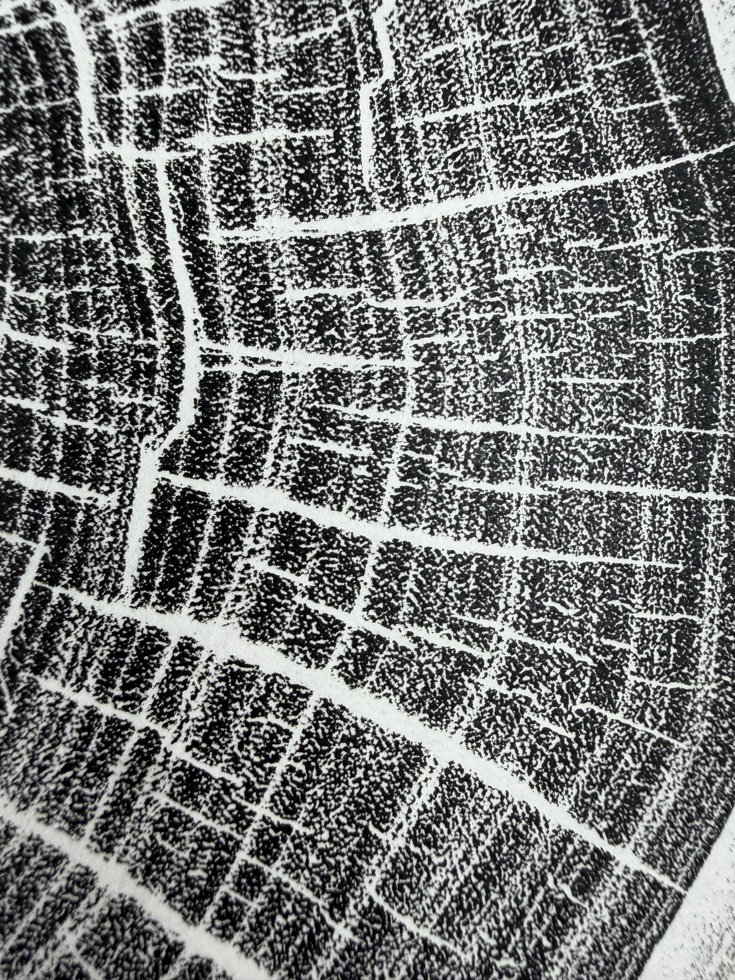 Black Edition No.5