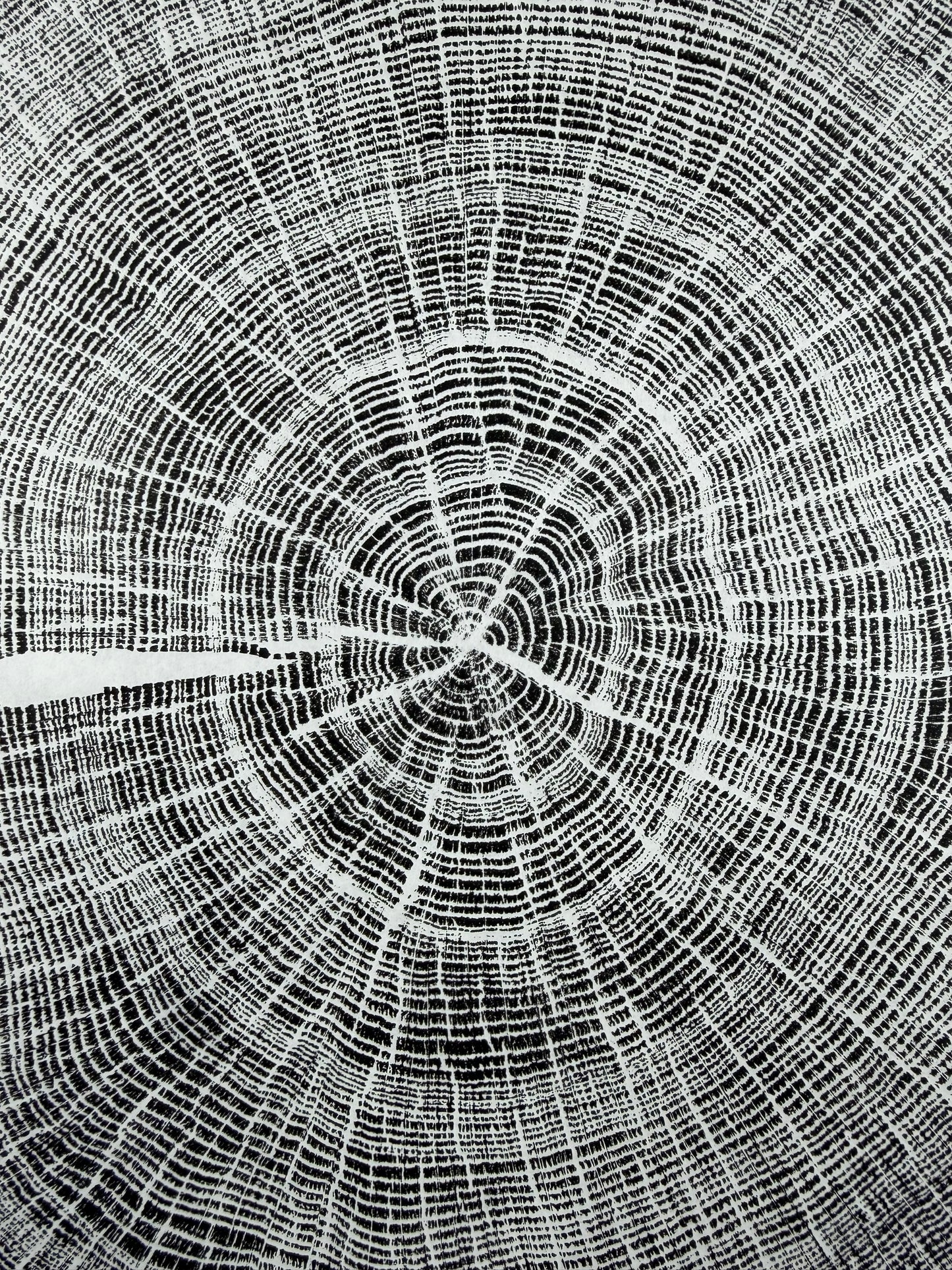 GrilloWoodPrint aus Eichenholz, handgedruckt mit einer schwarzen Relief-Ink-Mischung auf hochwertigem Papier. Im schwarzen Holzrahmen.