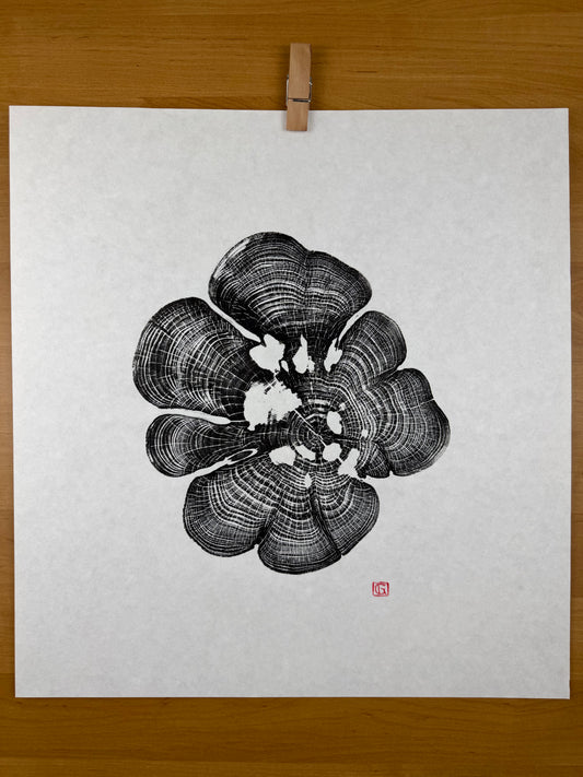 Black Edition No.1