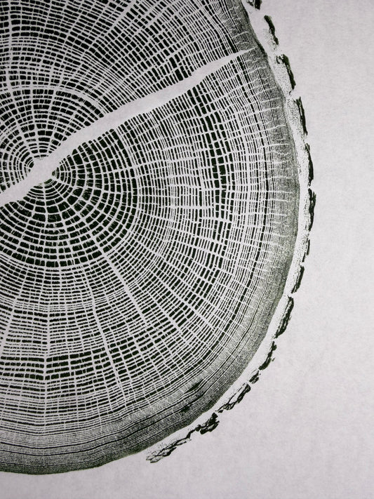 GrilloWoodPrint aus Eichenholz, handgedruckt mit einer relief ink Mischung grün.