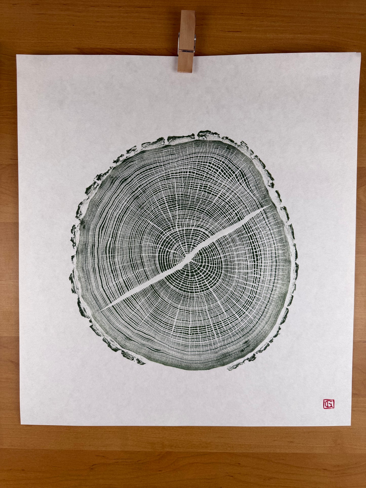 GrilloWoodPrint aus Eichenholz, handgedruckt mit einer relief ink Mischung grün.