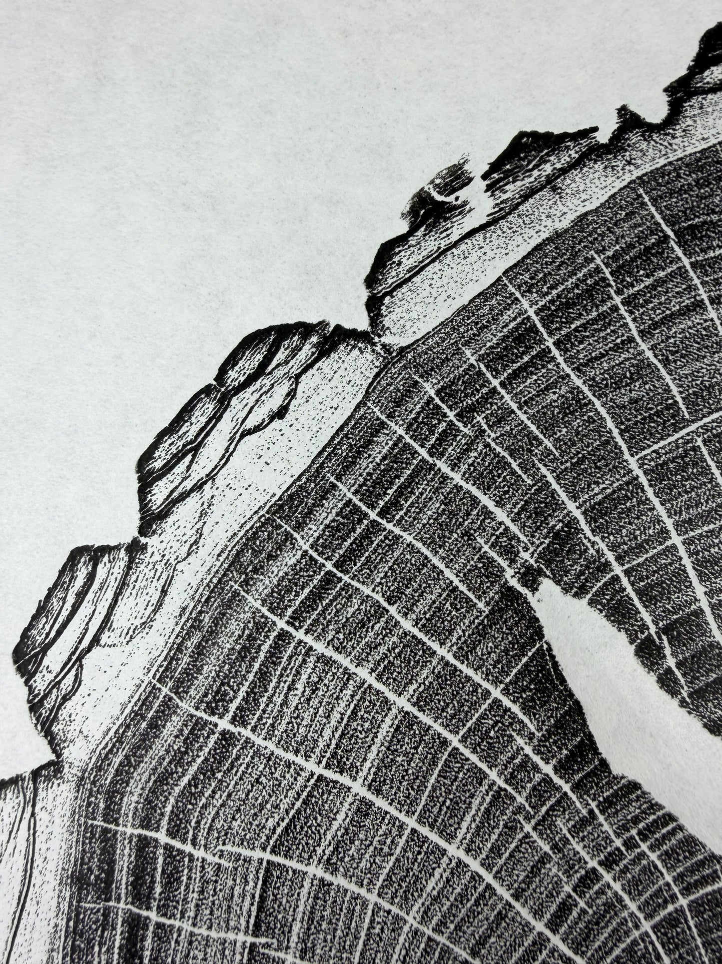 GrilloWoodPrint aus Nussbaumholz, handgedruckt mit einer schwarzen relief ink Mischung.