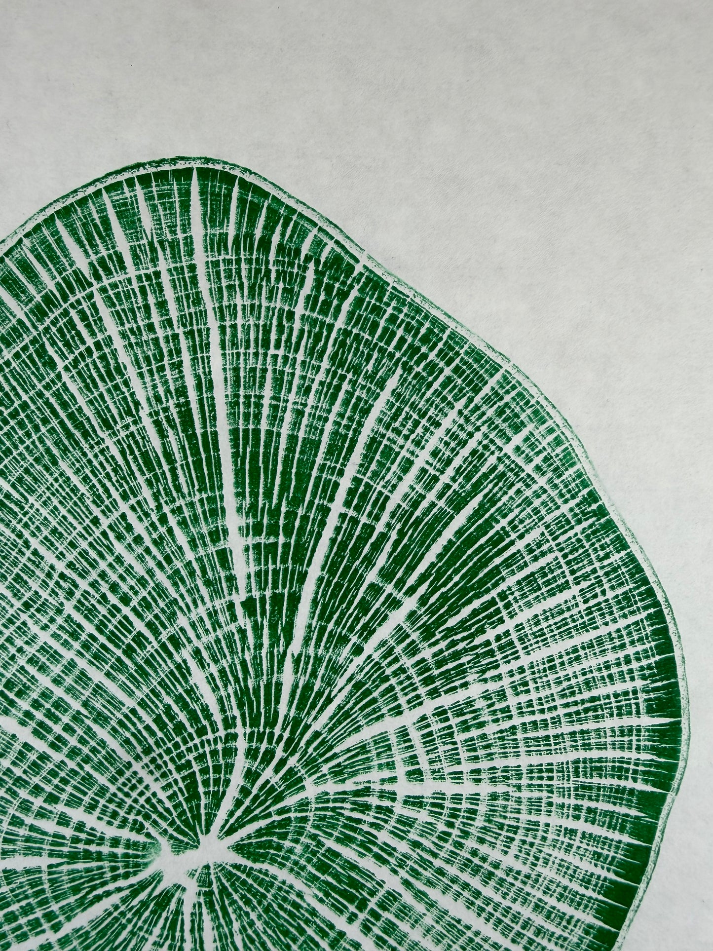GrilloWoodPrint aus Buchenholz, handgedruckt mit einer grünen relief ink Mischung.
