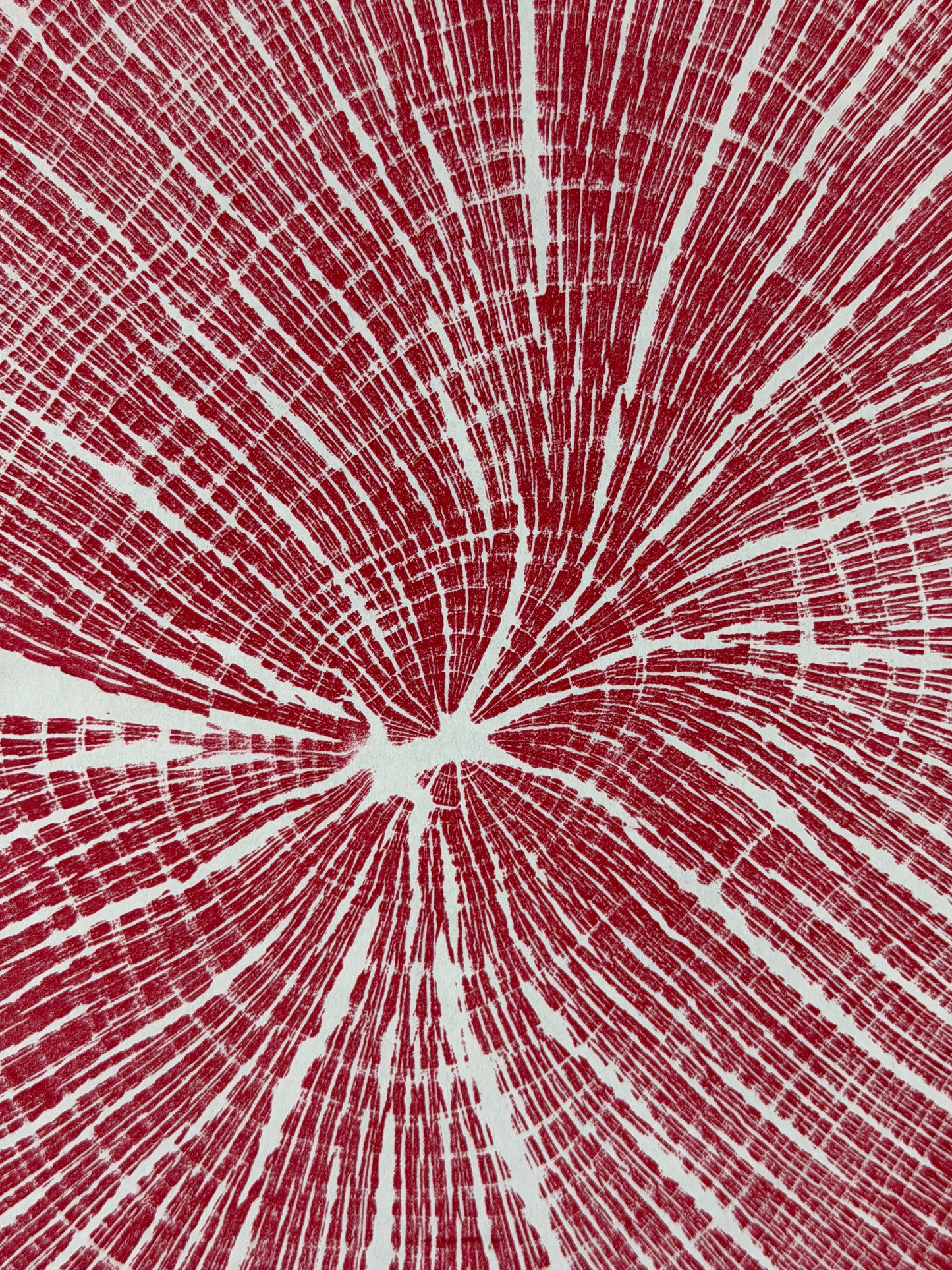 Handgedruckter GrilloWoodPrint aus Buchenholz.
Die rote Relief-Ink-Mischung betont die natürliche Struktur des Holzes und macht jedes Exemplar zu einem einzigartigen Naturunikat.
Gedruckt auf hochwertigem Papier.
Limitierte Edition.