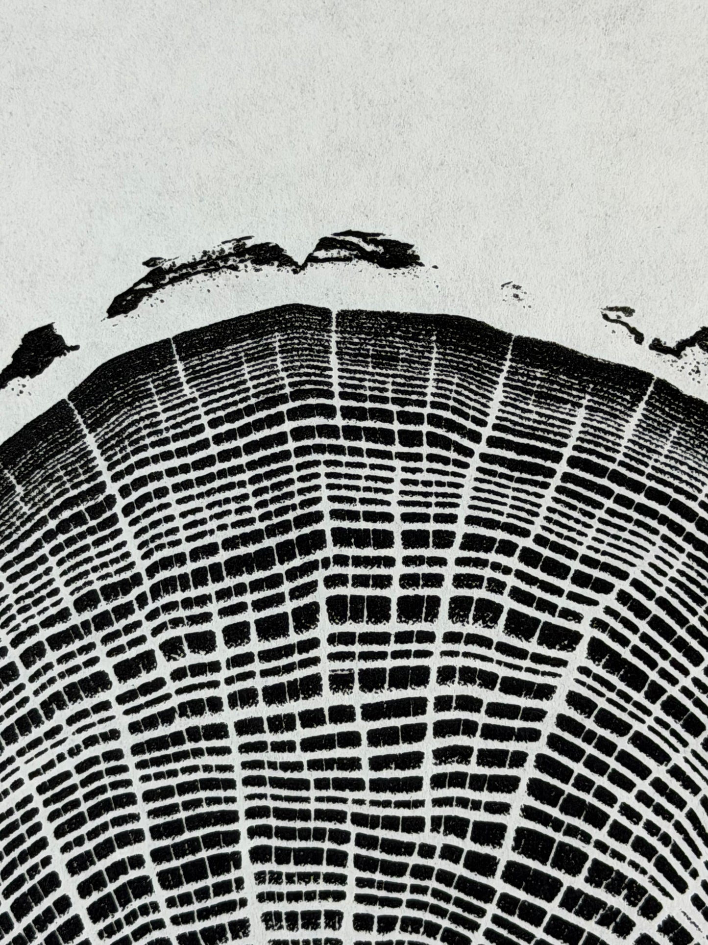 Schwarz und weiß GrilloWoodPrint aus Eichenholz, handgedruckt mit einer schwarzen Relief-Ink-Mischung auf hochwertigem Papier.
