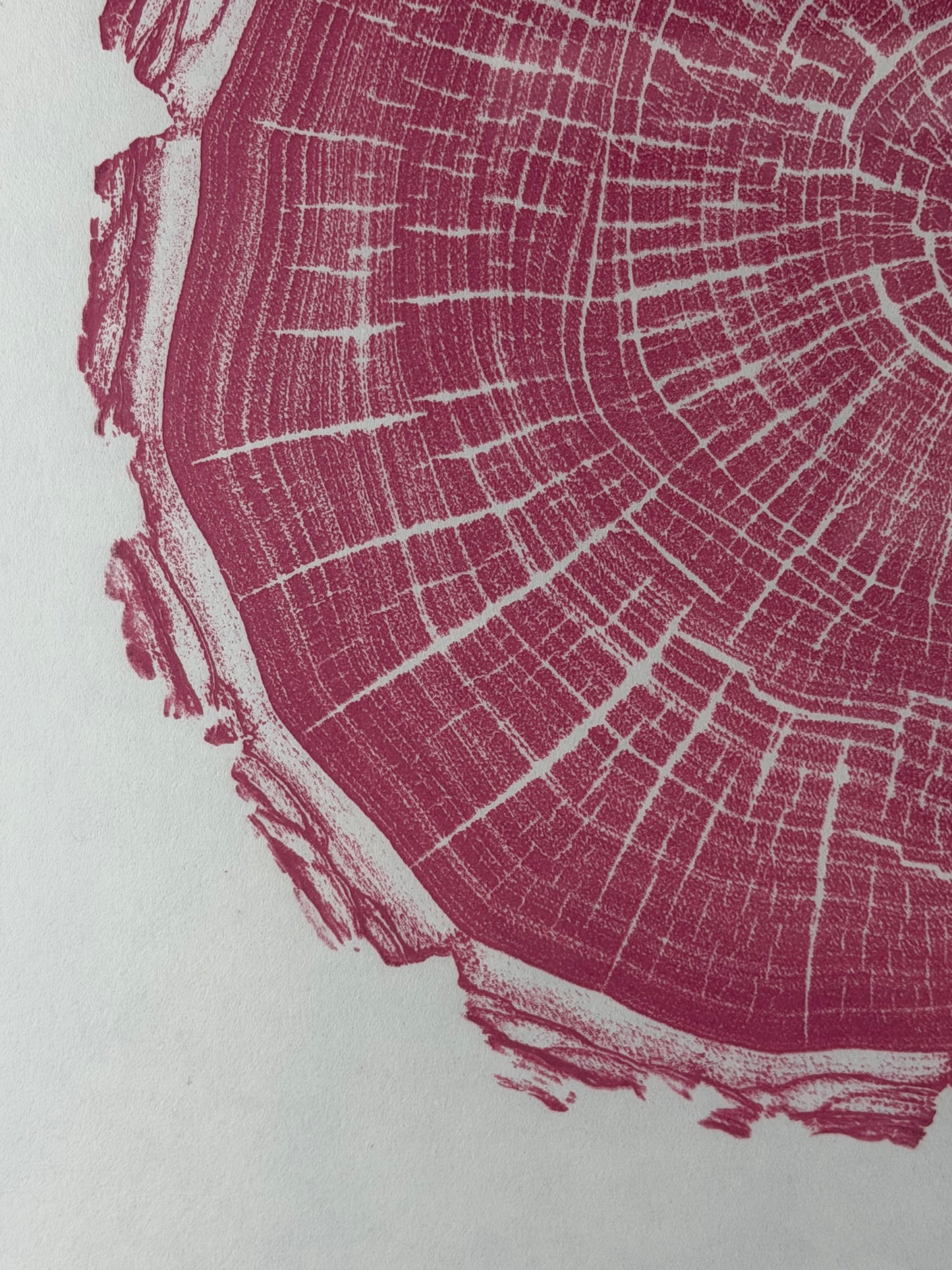 GrilloWoodPrint aus Nussbaumholz, handgedruckt mit einer pink-roten Relief-Ink-Mischung auf hochwertigem Papier im schwarzen Holzrahmen.