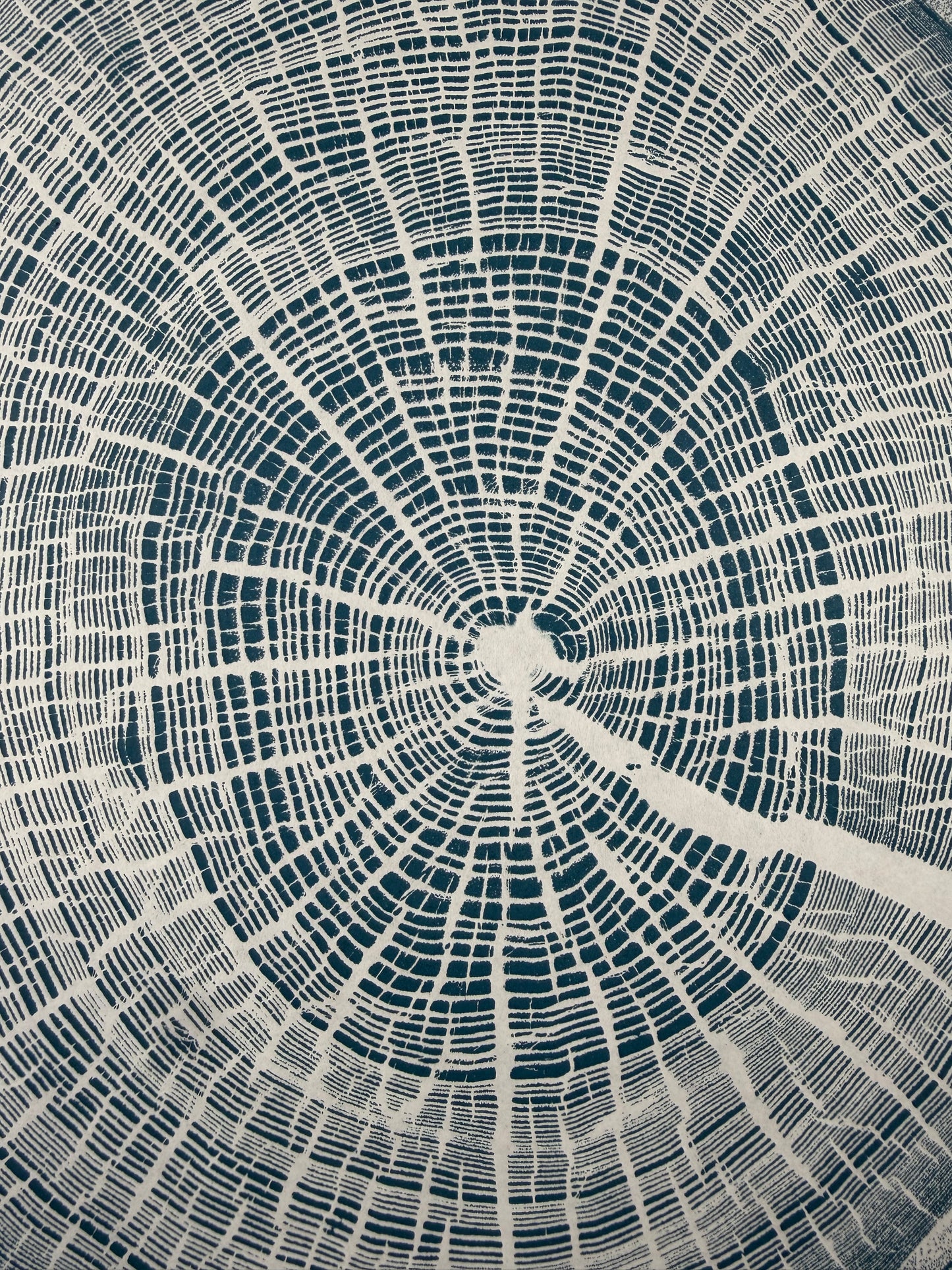GrilloWoodPrint aus Eichenholz, handgedruckt mit einer blauen Relief-Ink-Mischung auf hochwertigem Papier.