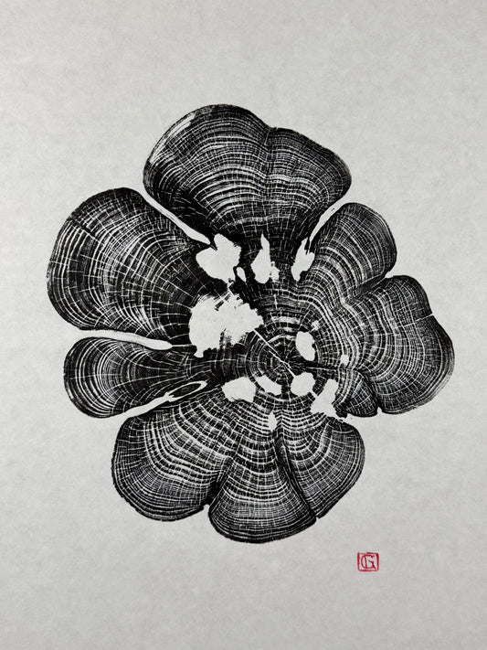 Black Edition No.1