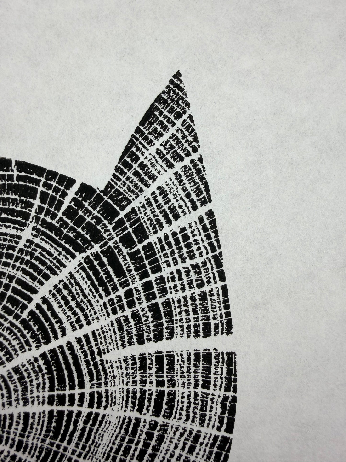 Black Edition No.6