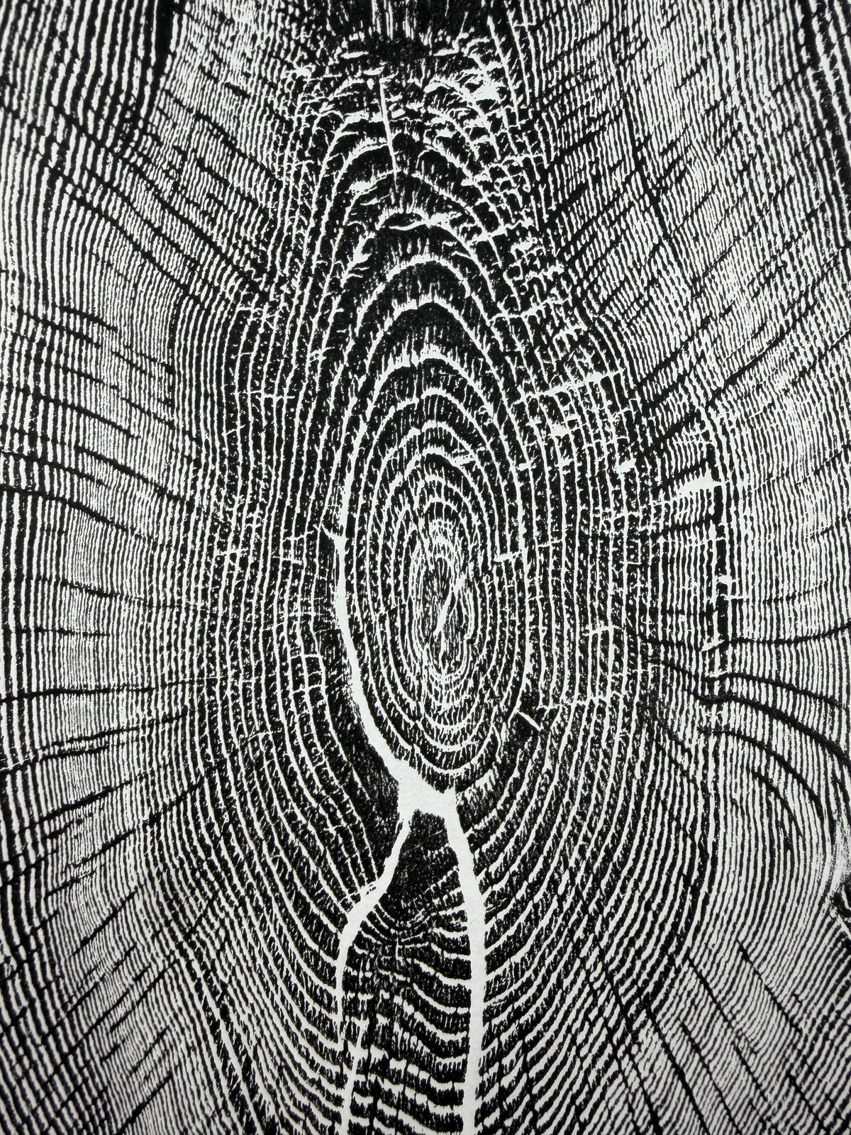 Black Edition No.4