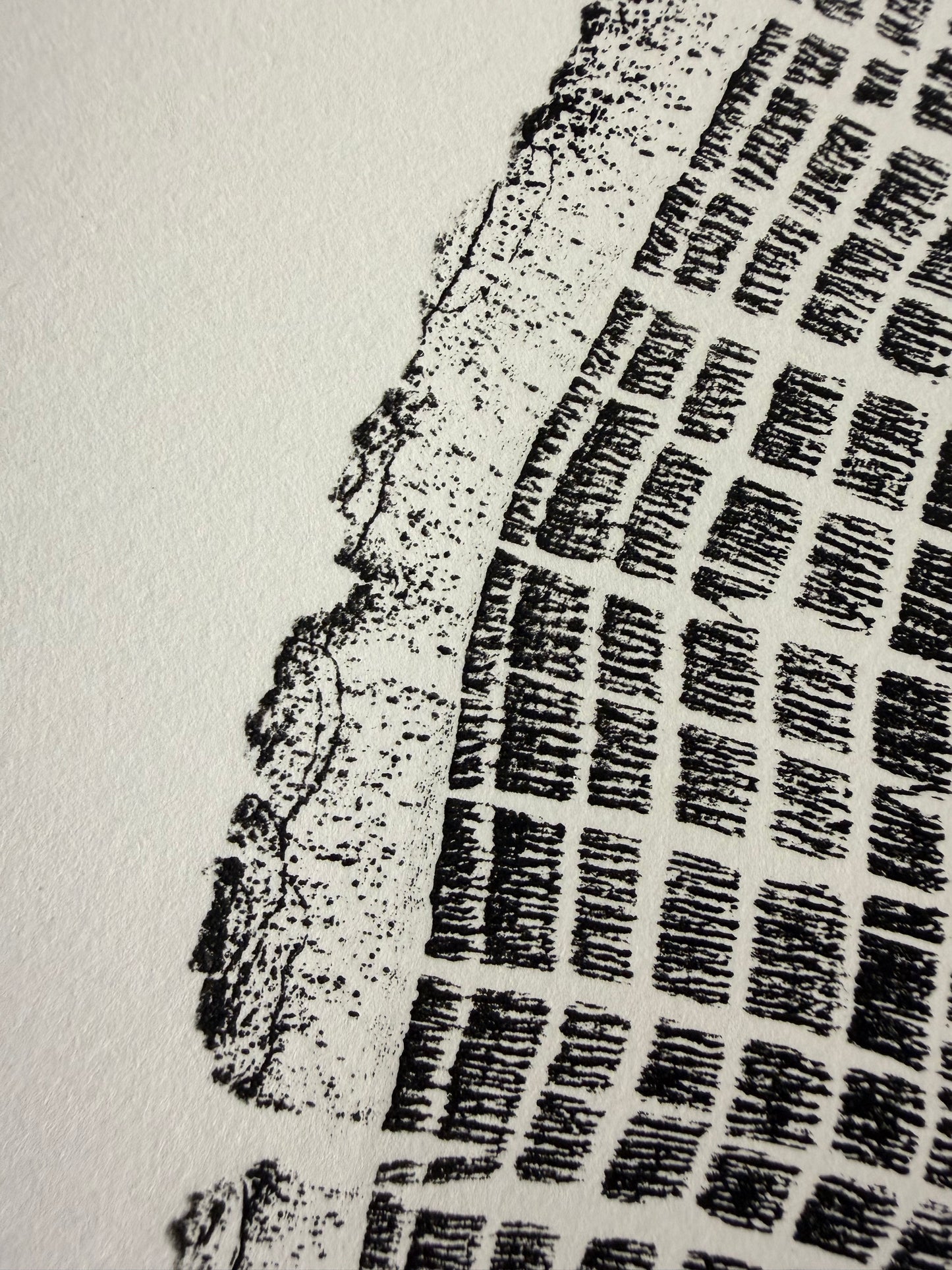 GrilloWoodPrint aus Eichenholz, handgedruckt mit einer schwarzen Relief-Ink-Mischung auf hochwertigem Papier.
