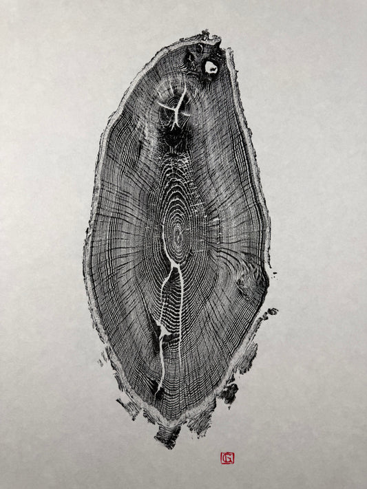 Black Edition No.4