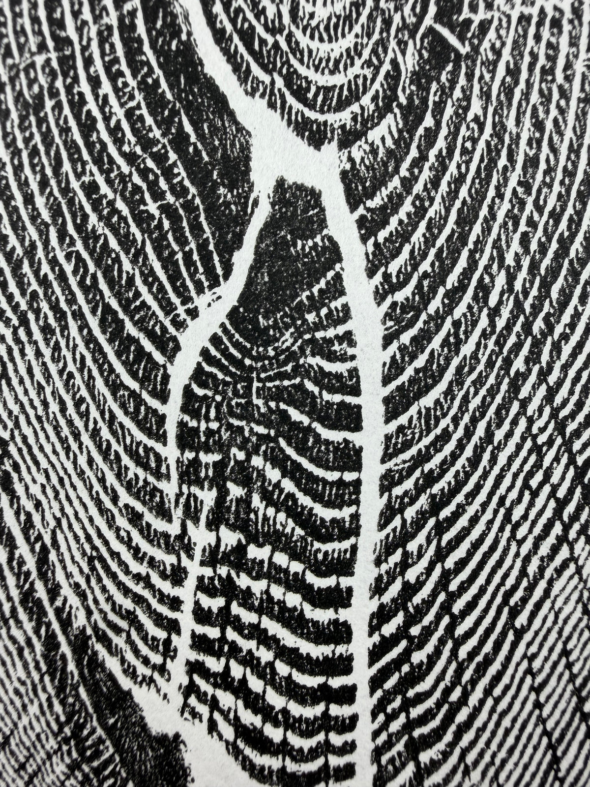 Black Edition No.4
