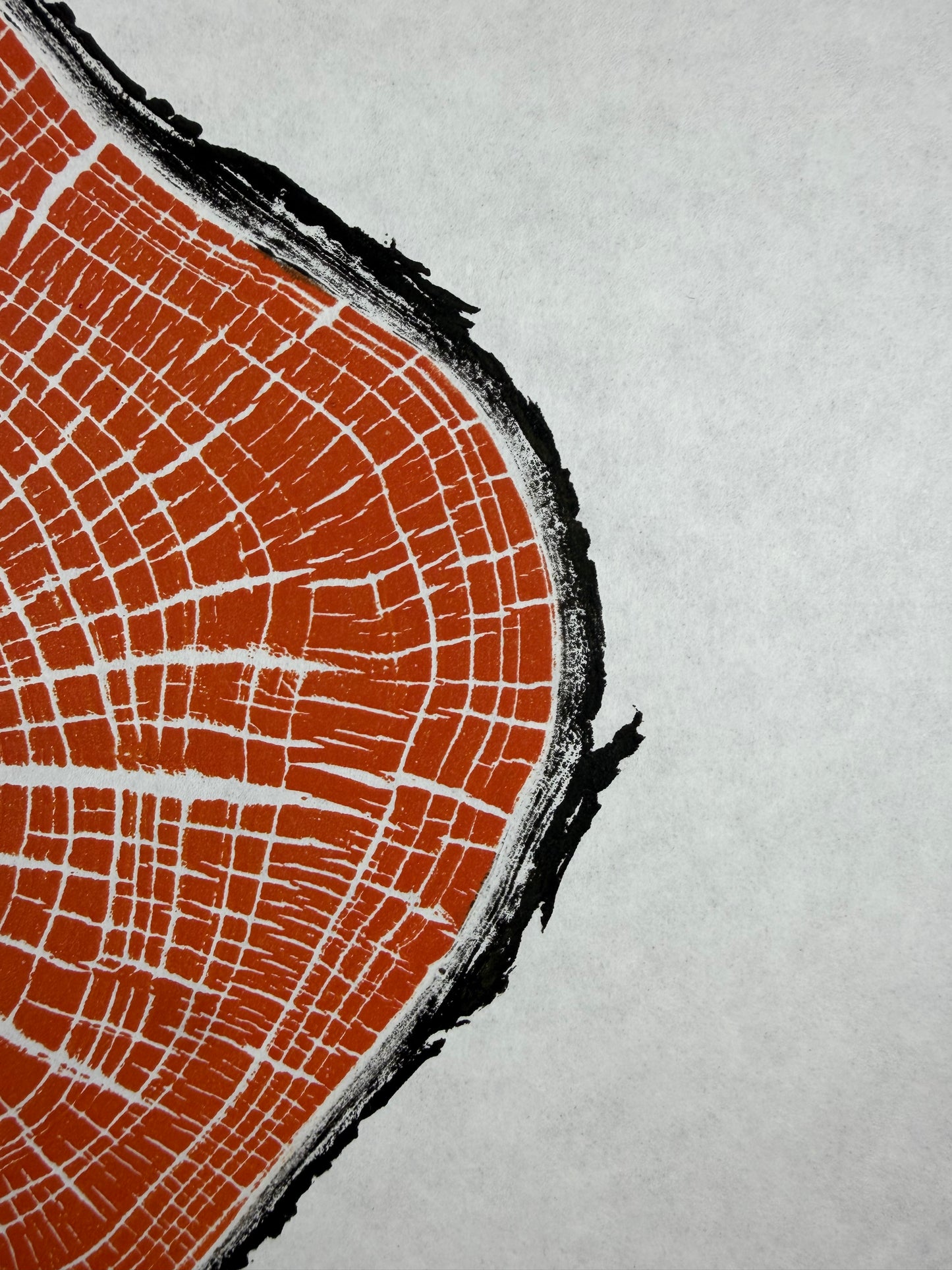 Handgedruckter GrilloWoodPrint aus Kirschholz.
Die orange Relief-Ink-Mischung betont die natürliche Struktur des Holzes und macht jedes Exemplar zu einem einzigartigen Naturunikat.
Gedruckt auf hochwertigem Papier.
Limitierte Edition.