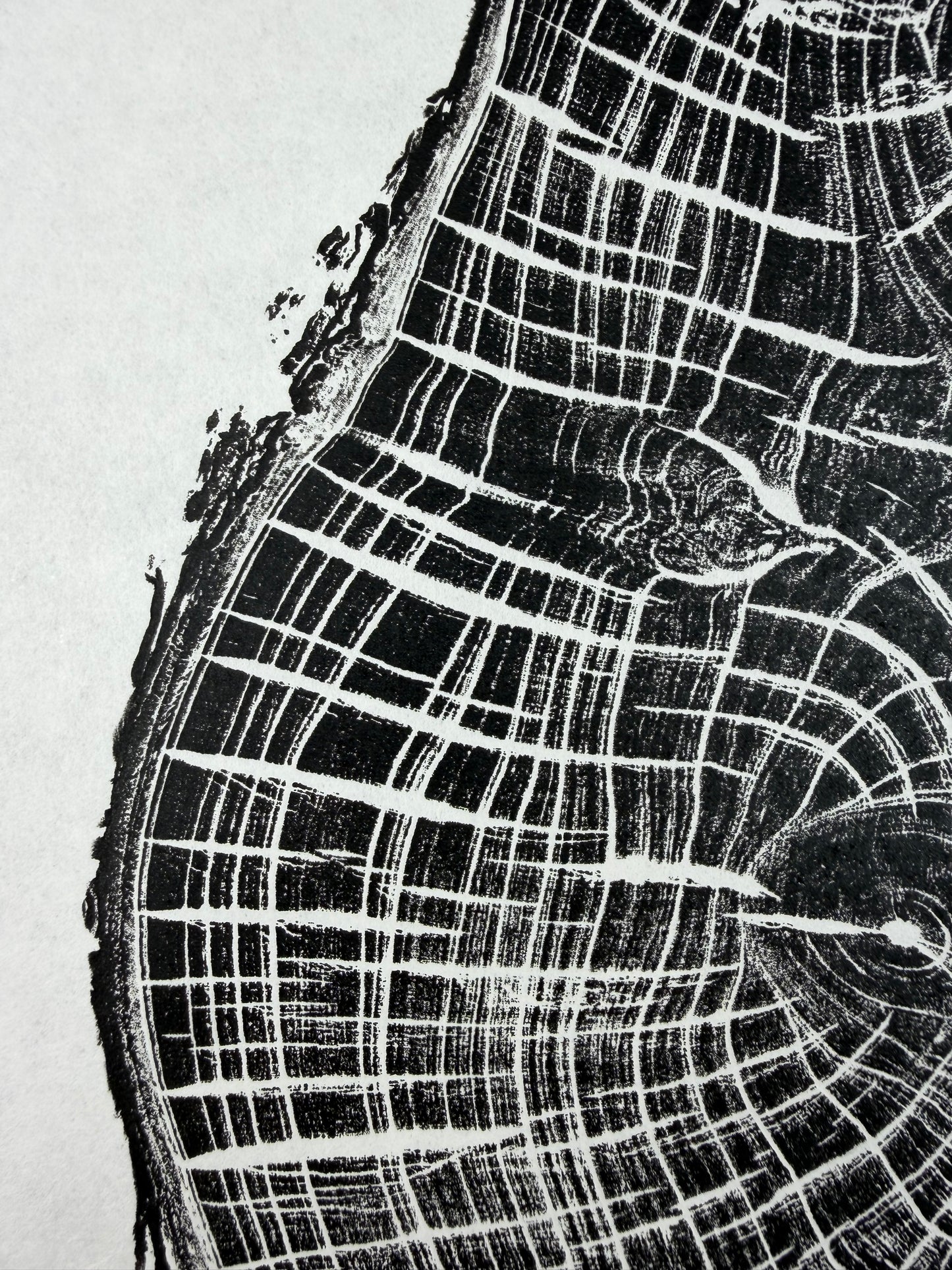 Black Edition No.3