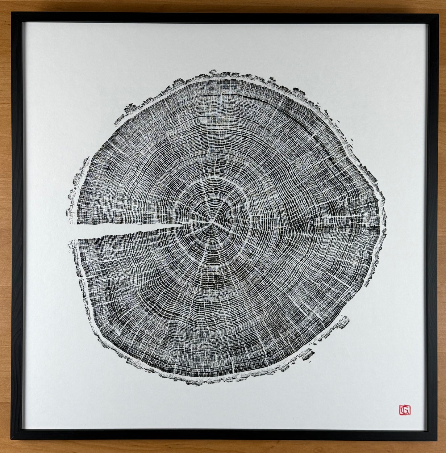 GrilloWoodPrint aus Eichenholz, handgedruckt mit einer schwarzen Relief-Ink-Mischung auf hochwertigem Papier. Im schwarzen Holzrahmen.