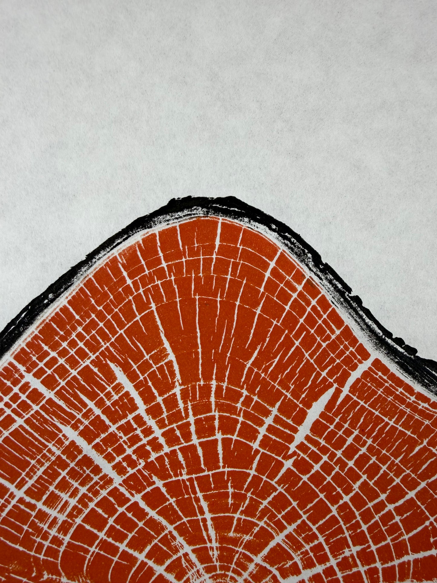 Handgedruckter GrilloWoodPrint aus Kirschholz.
Die orange Relief-Ink-Mischung betont die natürliche Struktur des Holzes und macht jedes Exemplar zu einem einzigartigen Naturunikat.
Gedruckt auf hochwertigem Papier.
Limitierte Edition.