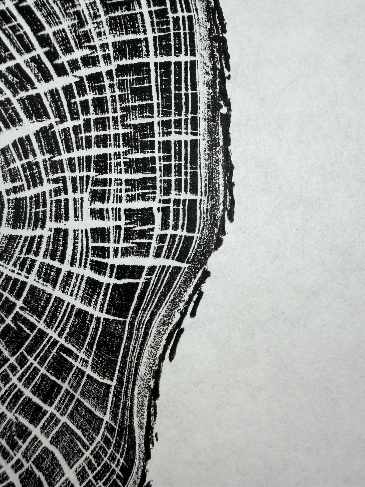 Black Edition No.3