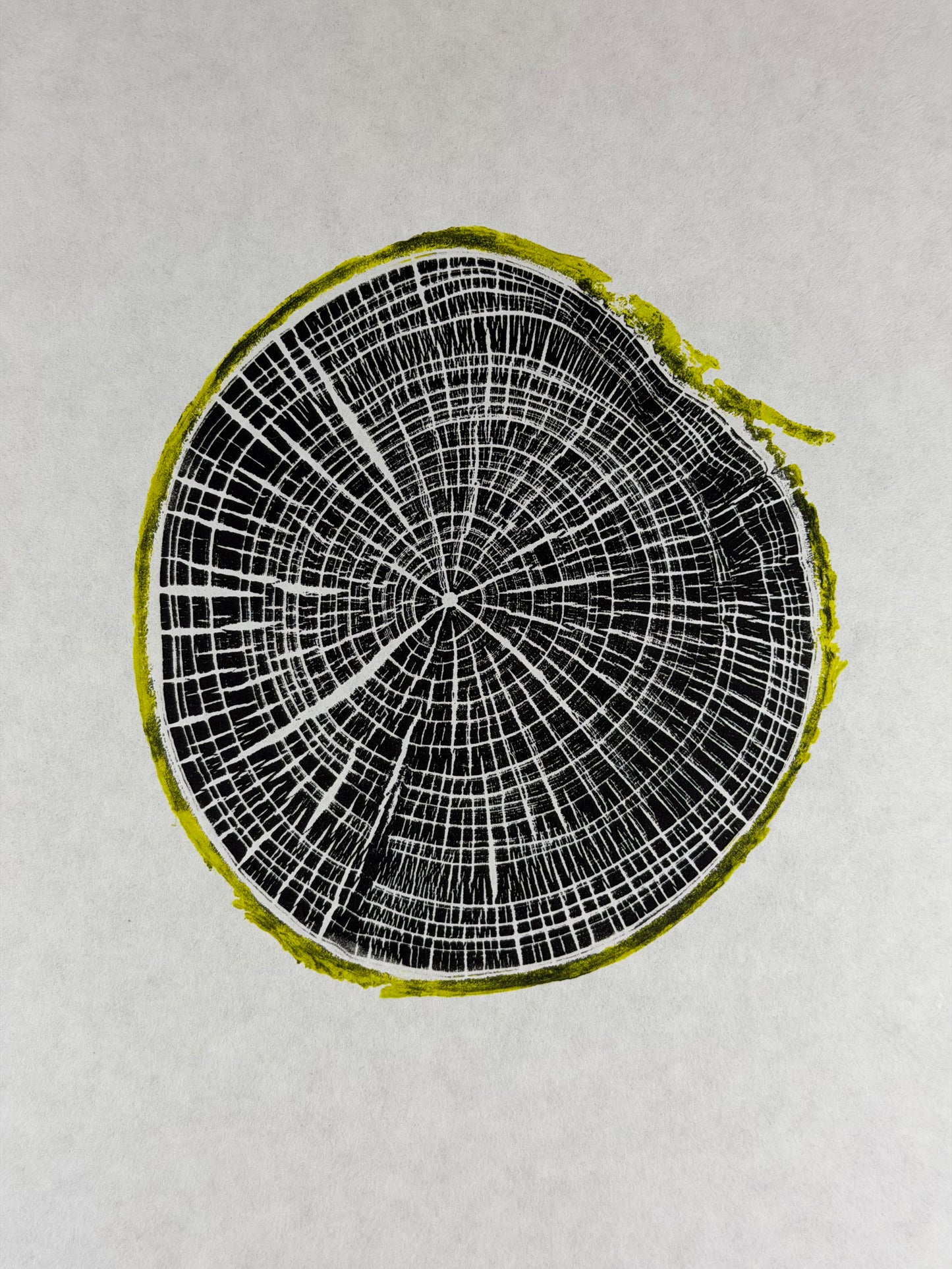 GrilloWoodPrint aus Kirschholz, handgedruckt mit einer relief ink Mischung schwarz gelb.