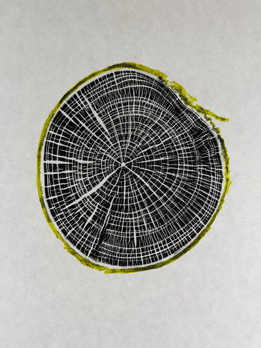 GrilloWoodPrint aus Kirschholz, handgedruckt mit einer relief ink Mischung schwarz gelb.