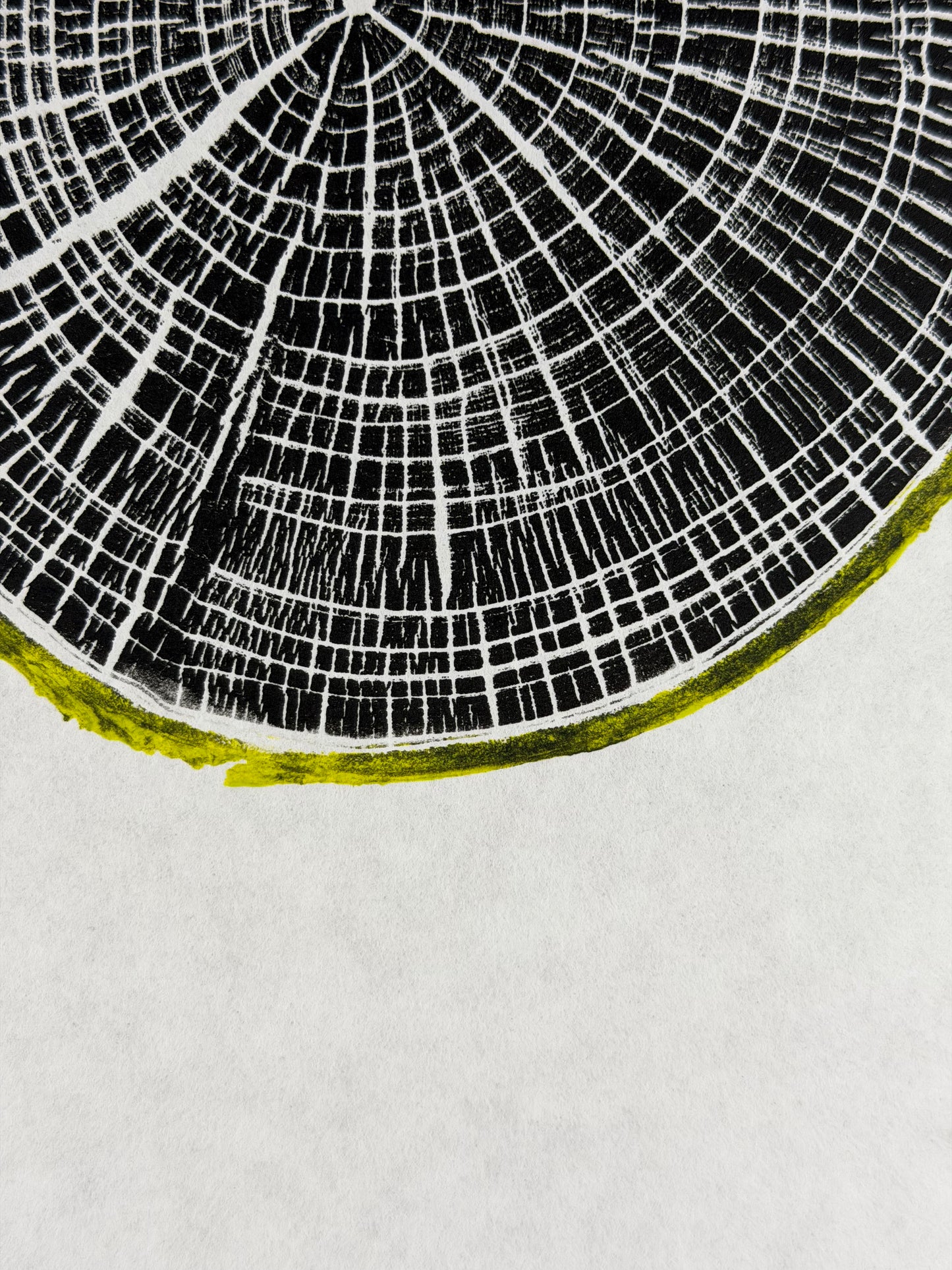 GrilloWoodPrint aus Kirschholz, handgedruckt mit einer relief ink Mischung schwarz gelb.