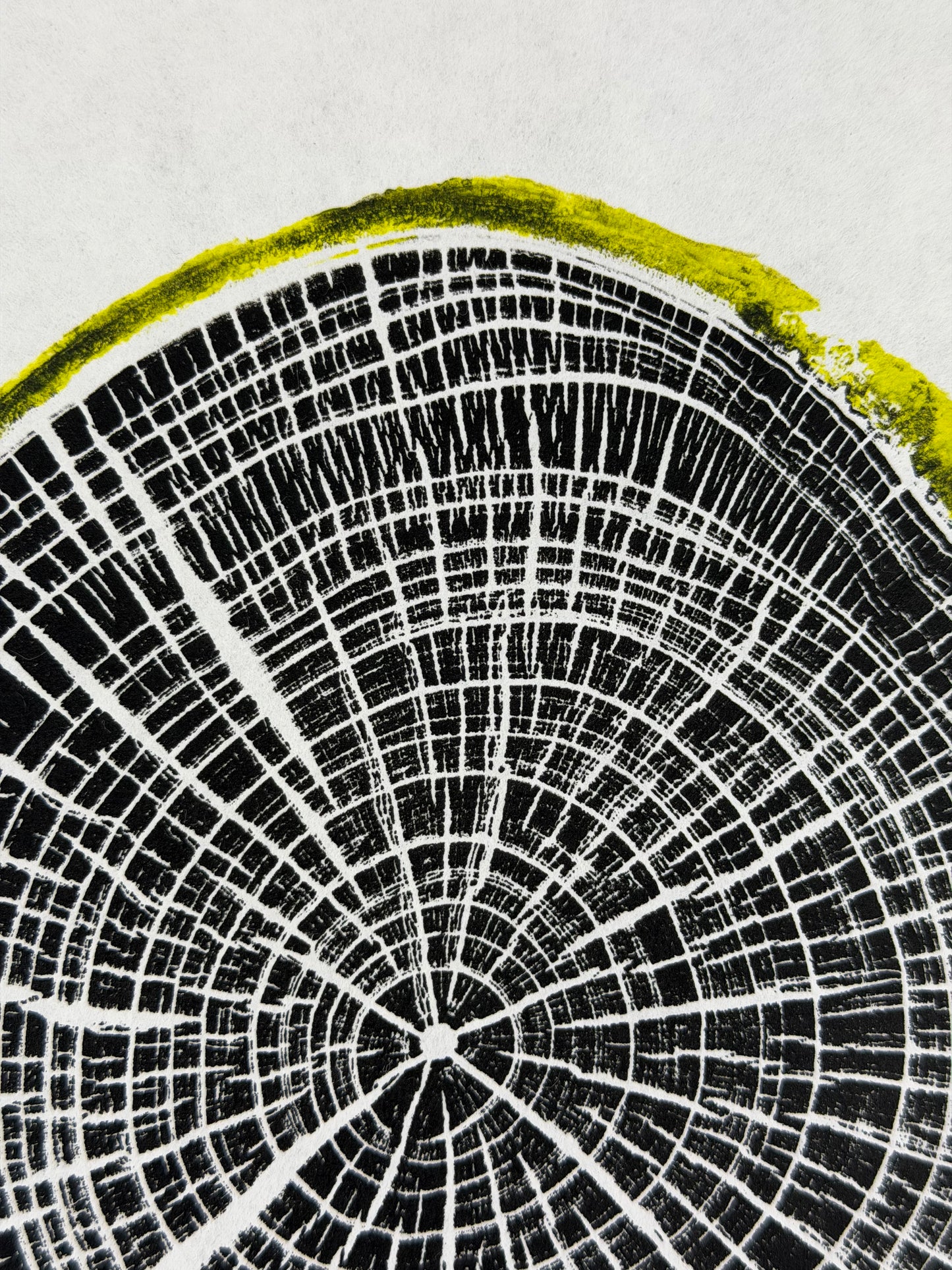 GrilloWoodPrint aus Kirschholz, handgedruckt mit einer relief ink Mischung schwarz gelb.