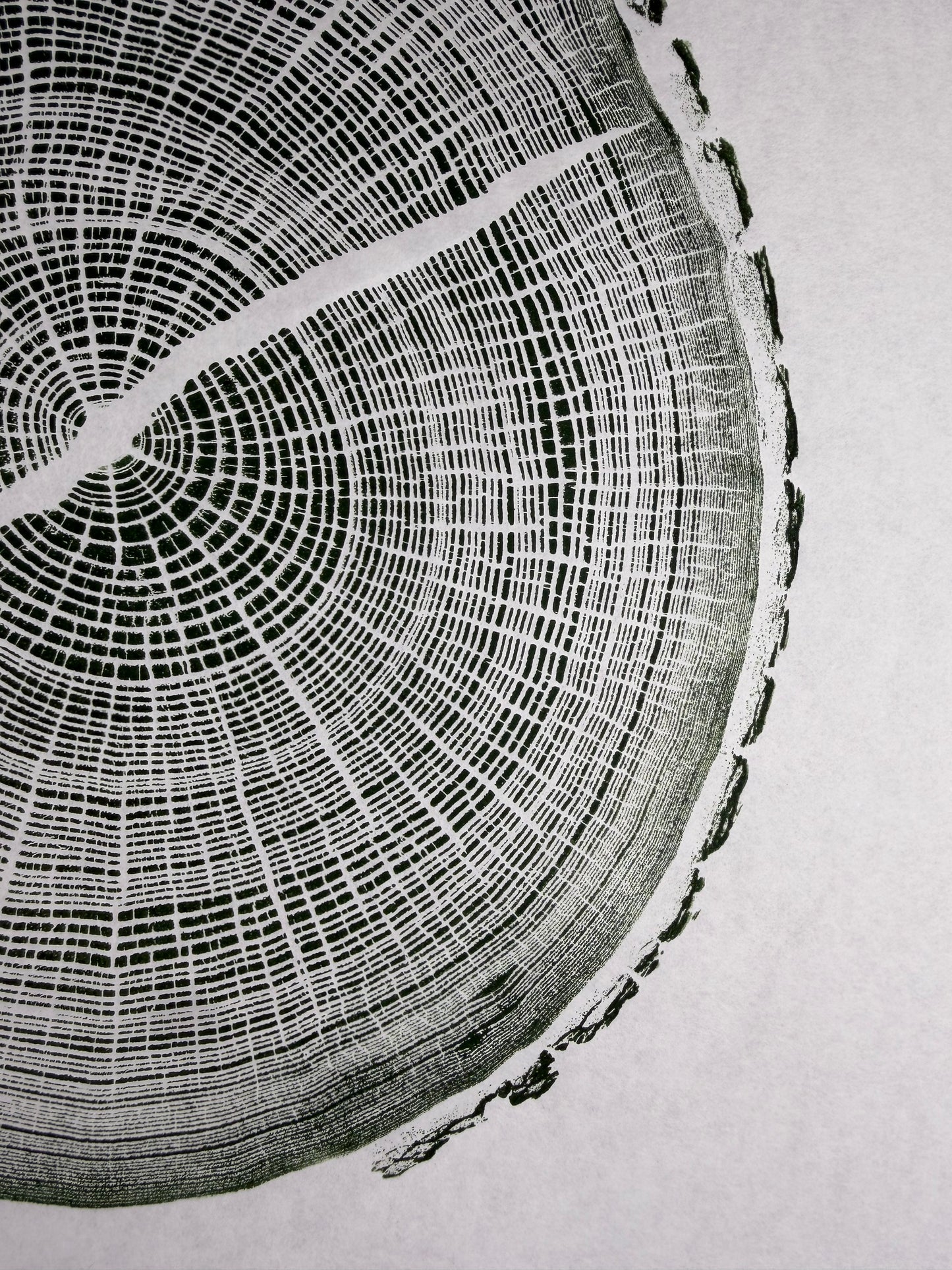 GrilloWoodPrint aus Eichenholz, handgedruckt mit einer relief ink Mischung grün.