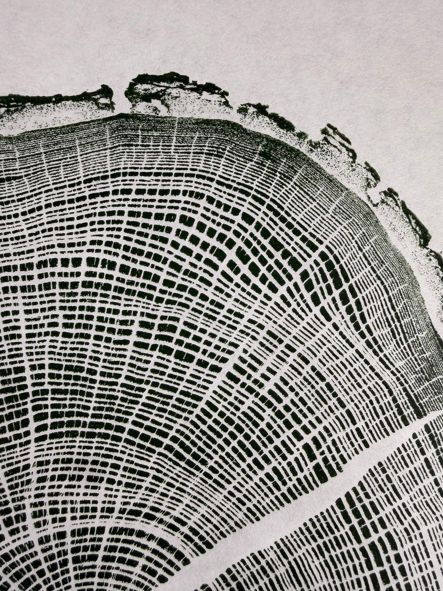 GrilloWoodPrint aus Eichenholz, handgedruckt mit einer relief ink Mischung grün.
