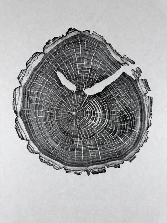 GrilloWoodPrint aus Nussbaumholz, handgedruckt mit einer schwarzen relief ink Mischung.