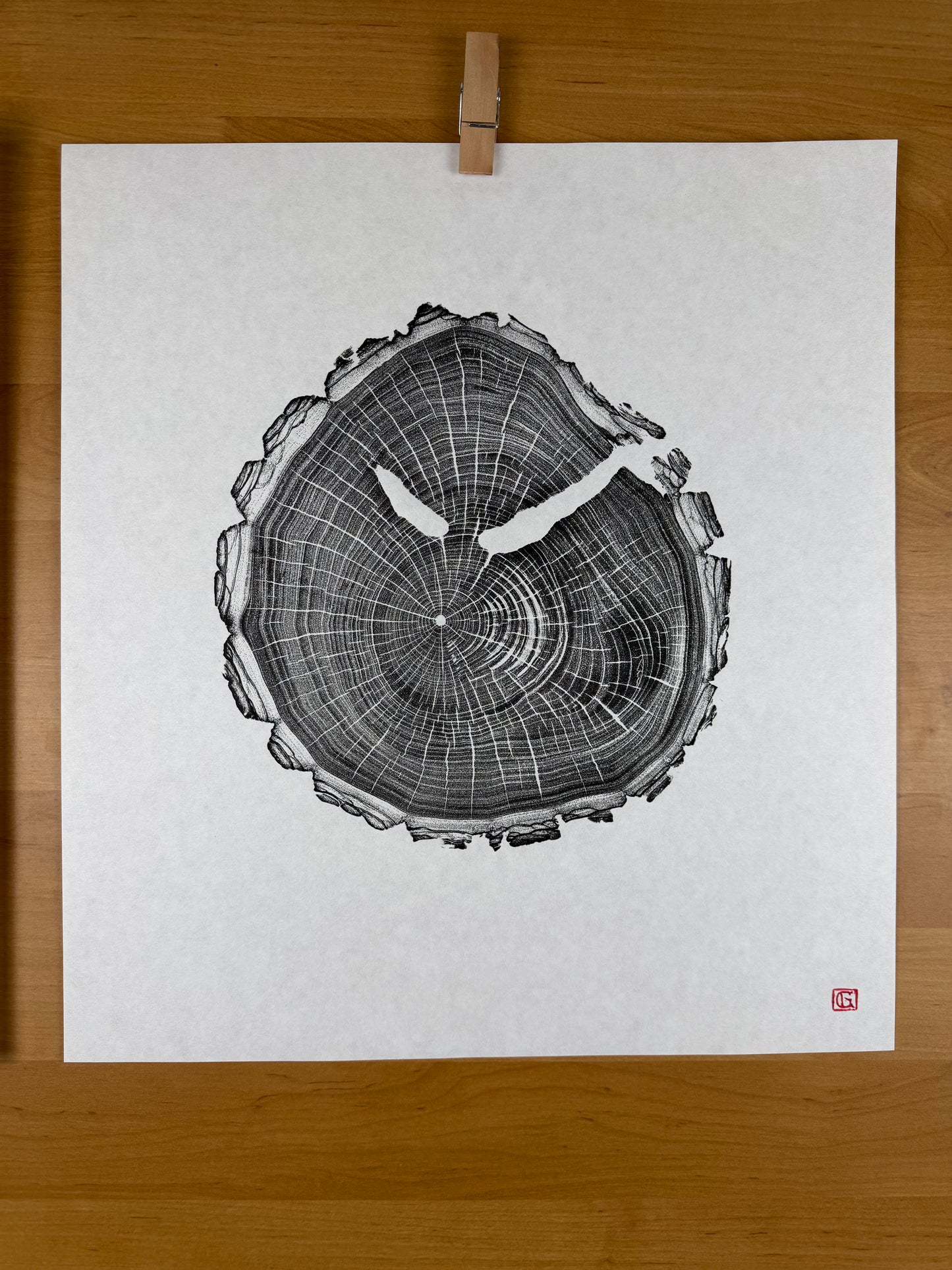 GrilloWoodPrint aus Nussbaumholz, handgedruckt mit einer schwarzen relief ink Mischung.
