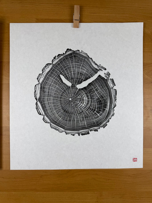 GrilloWoodPrint aus Nussbaumholz, handgedruckt mit einer schwarzen relief ink Mischung.