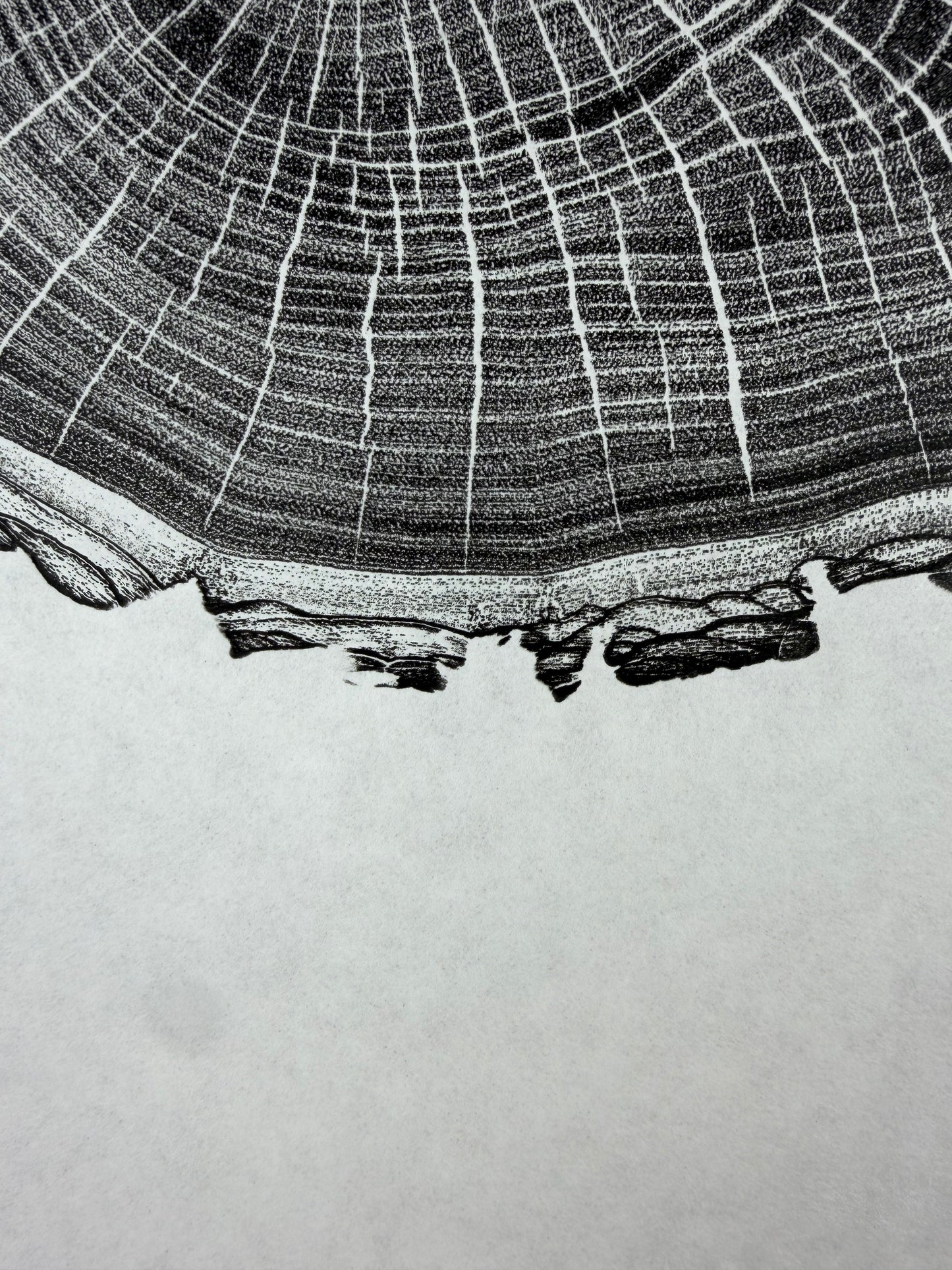GrilloWoodPrint aus Nussbaumholz, handgedruckt mit einer schwarzen relief ink Mischung.