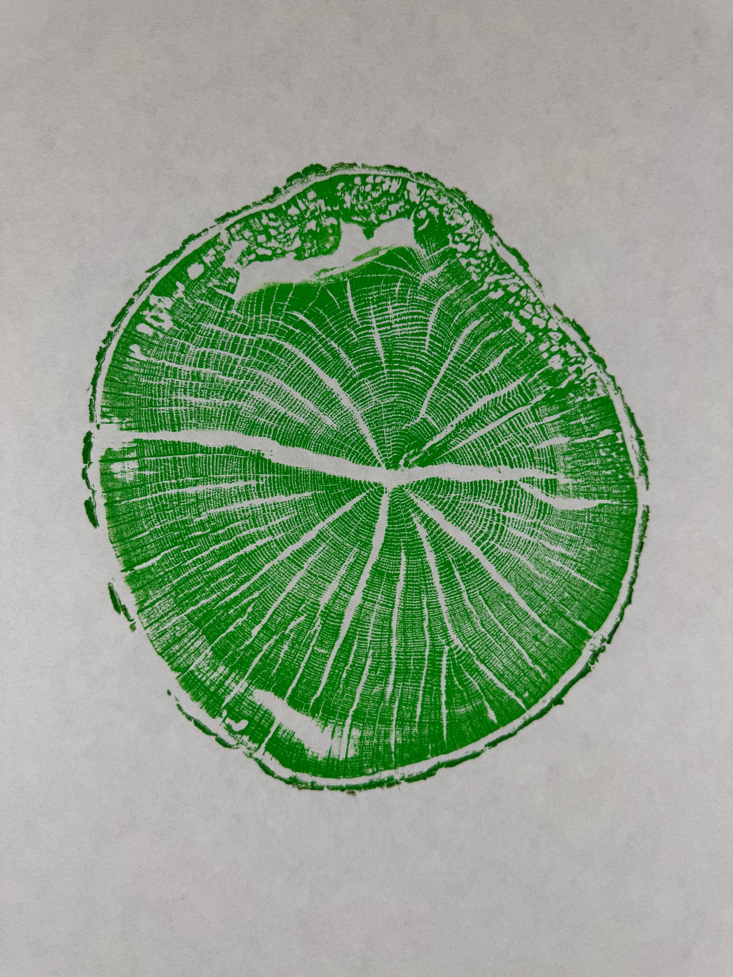 GrilloWoodPrint aus Eichenholz, handgedruckt mit einer grünen Relief ink Mischung