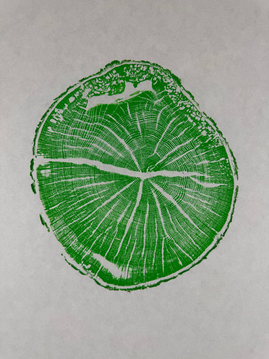 GrilloWoodPrint aus Eichenholz, handgedruckt mit einer grünen Relief ink Mischung