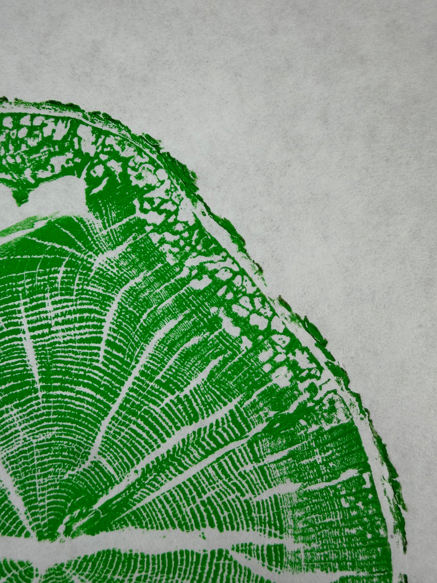 GrilloWoodPrint aus Eichenholz, handgedruckt mit einer grünen Relief ink Mischung