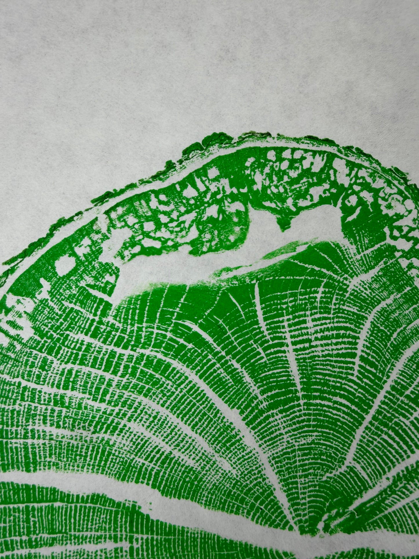 GrilloWoodPrint aus Eichenholz, handgedruckt mit einer grünen Relief ink Mischung