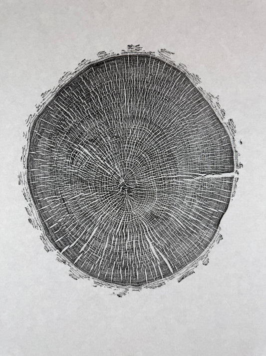 GrilloWoodPrint aus Eschenholz, handgedruckt mit einer schwarzen relief ink Mischung.