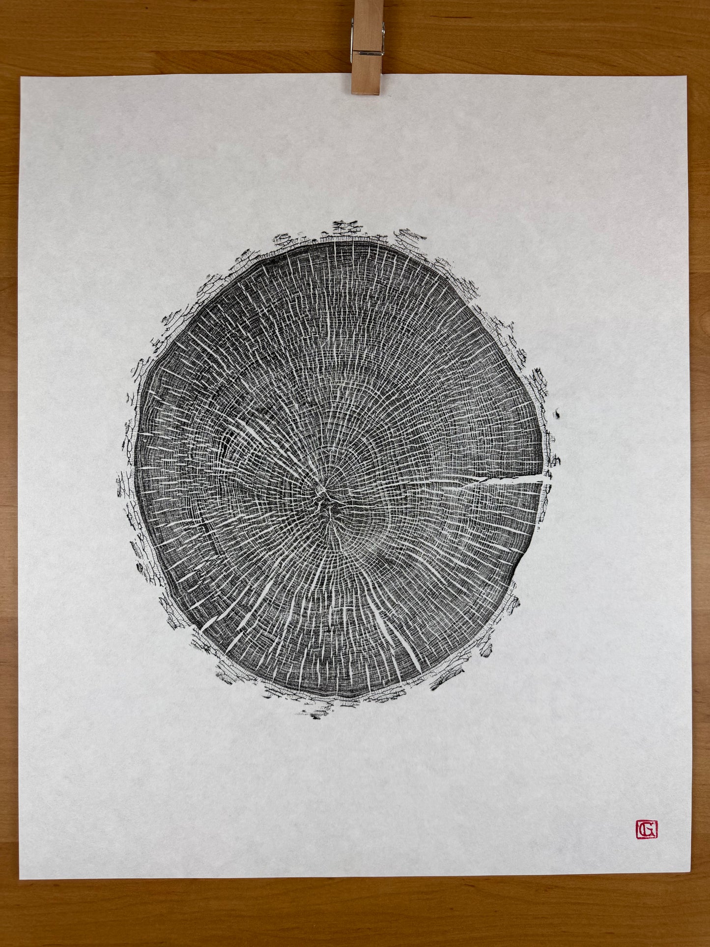 GrilloWoodPrint aus Eschenholz, handgedruckt mit einer schwarzen relief ink Mischung.