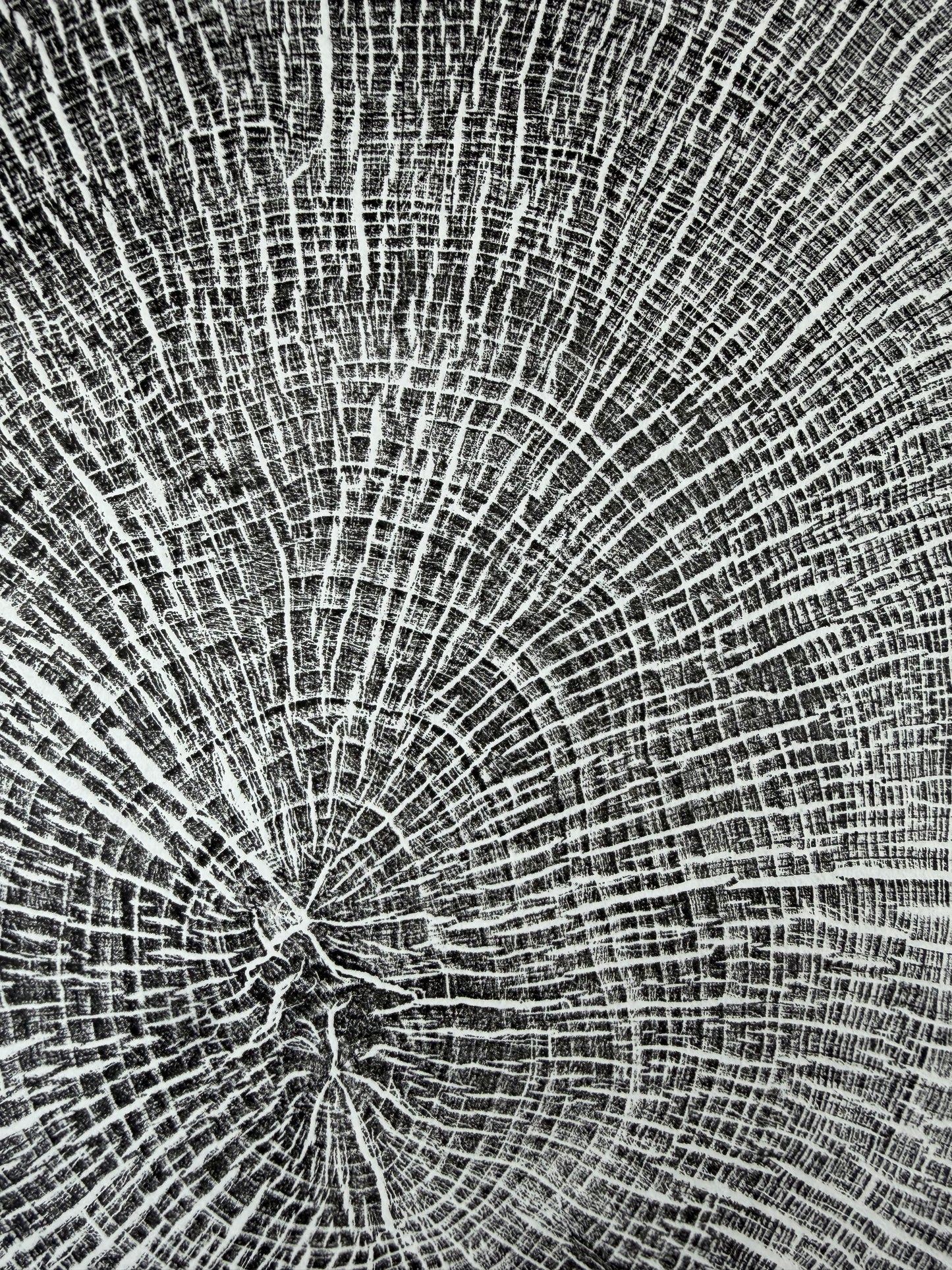 GrilloWoodPrint aus Eschenholz, handgedruckt mit einer schwarzen relief ink Mischung.
