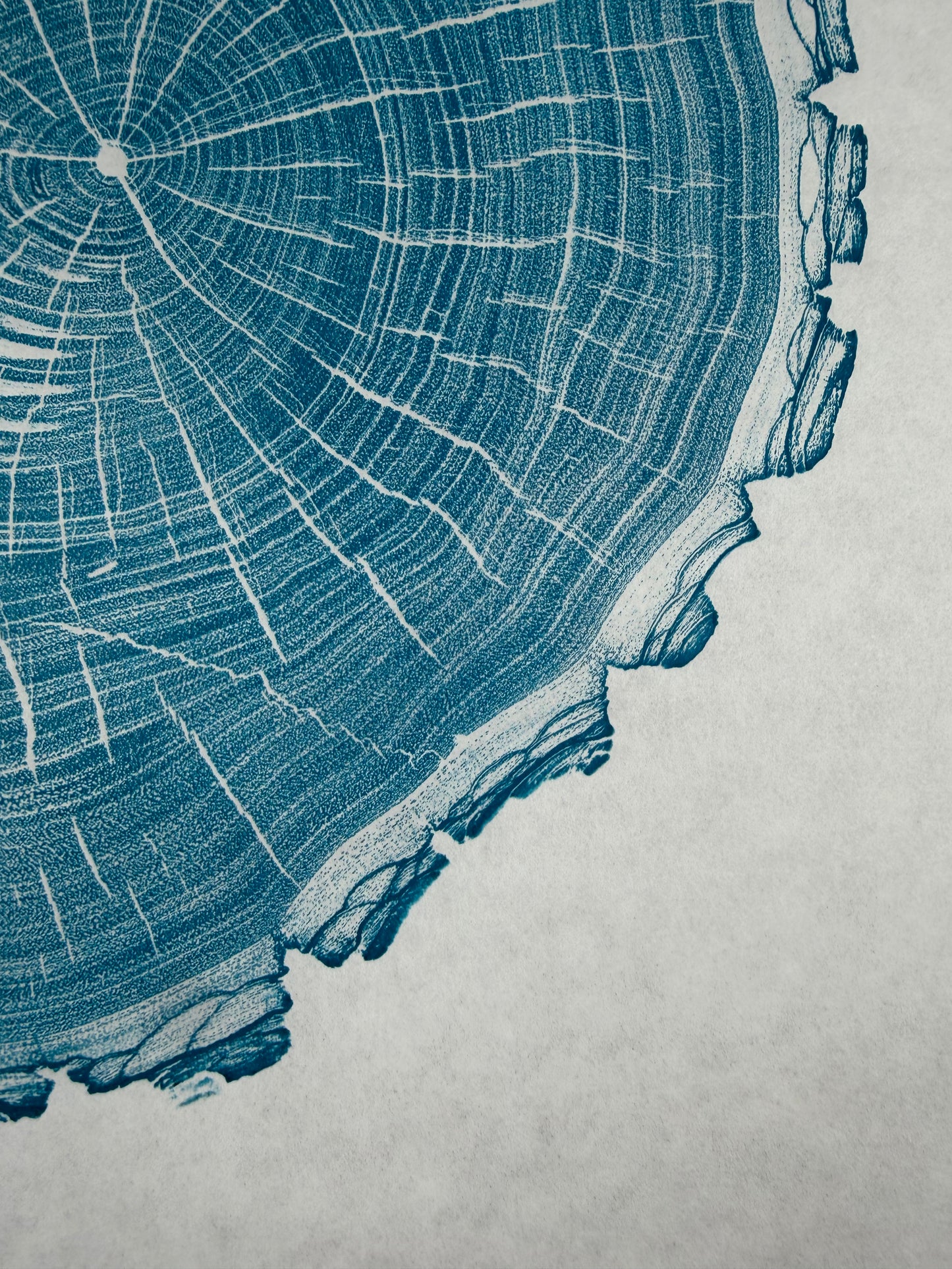 GrilloWoodPrint aus Nussbaumholz, handgedruckt mit einer blauen relief ink Mischung.