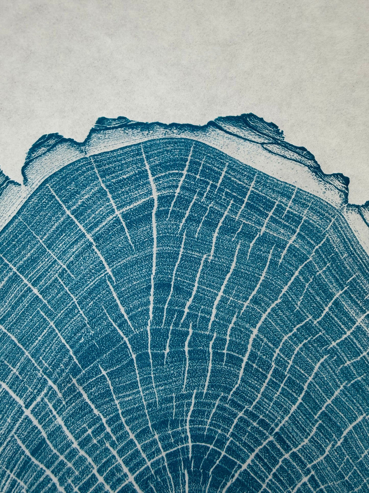 GrilloWoodPrint aus Nussbaumholz, handgedruckt mit einer blauen relief ink Mischung.
