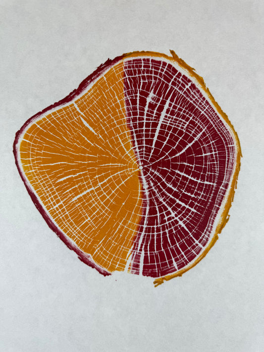 GrilloWoodPrint aus Kirschholz, handgedruckt mit einer gelb roten relief ink Mischung.