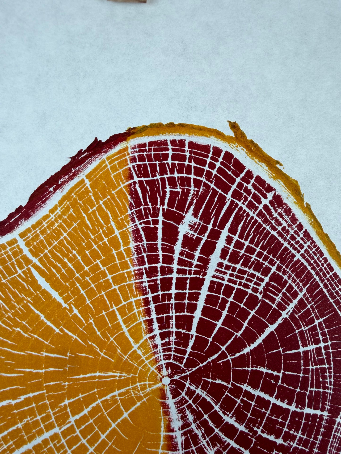GrilloWoodPrint aus Kirschholz, handgedruckt mit einer gelb roten relief ink Mischung.