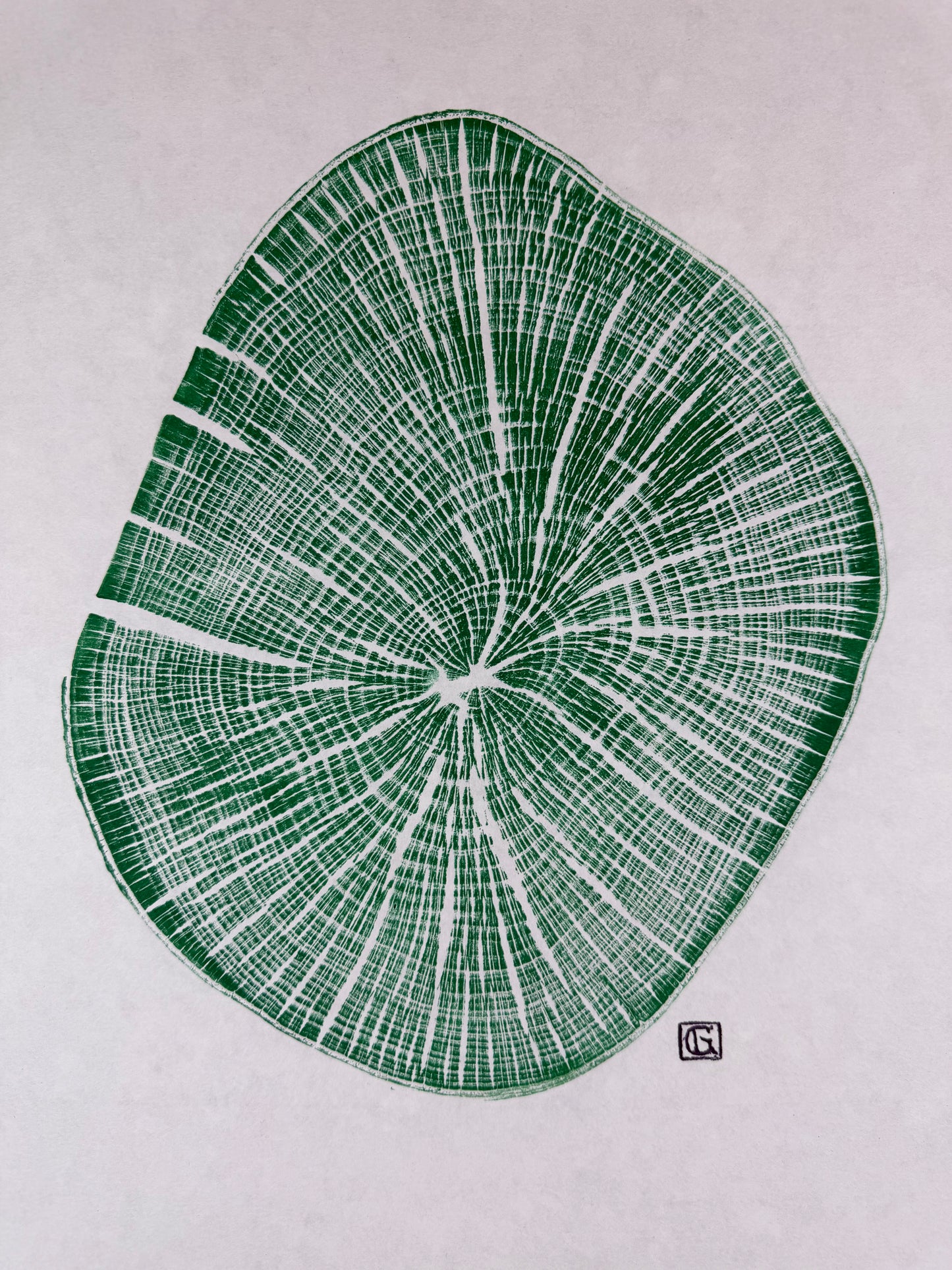 GrilloWoodPrint aus Buchenholz, handgedruckt mit einer grünen relief ink Mischung.