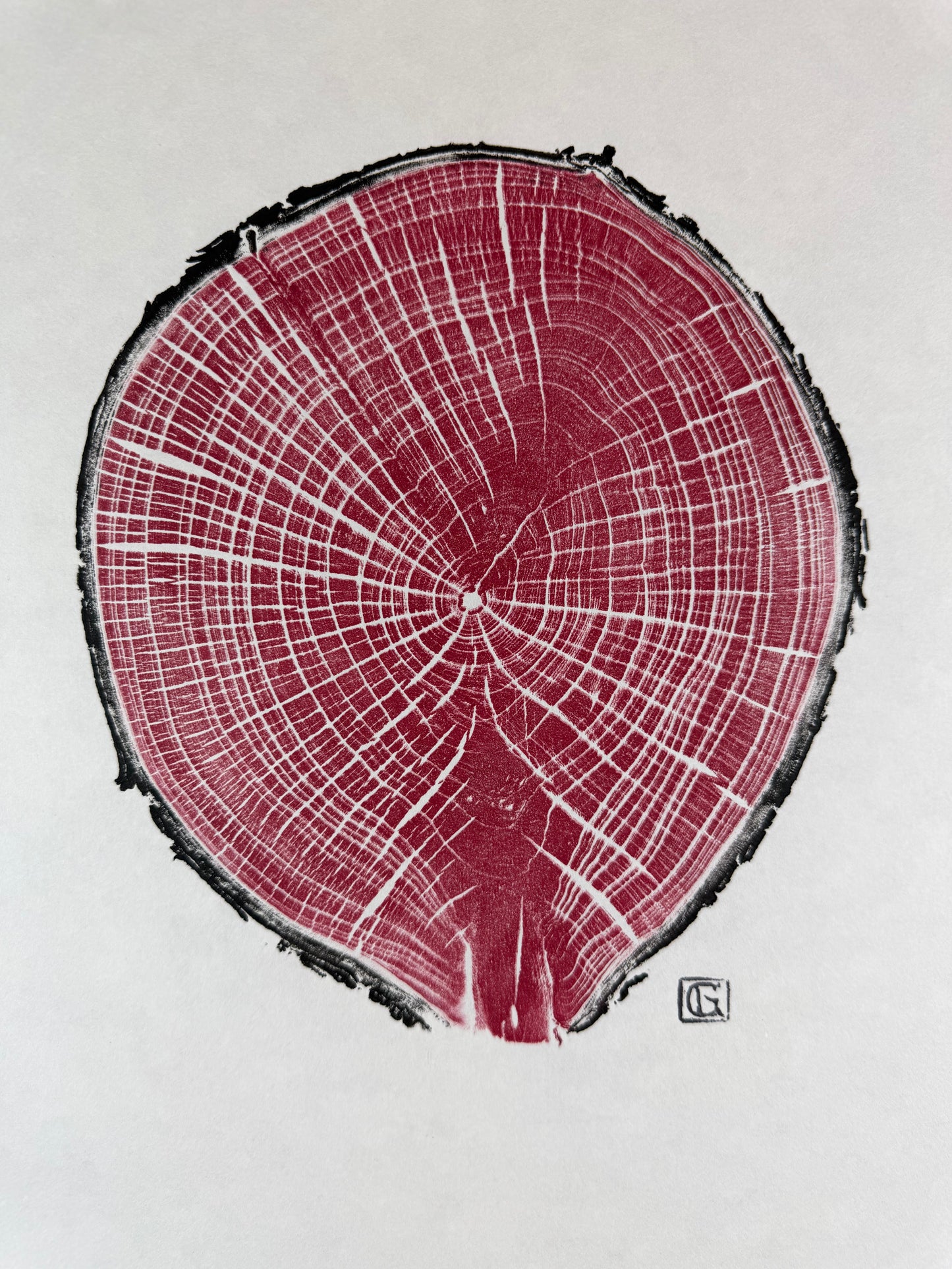 GrilloWoodPrint aus Kirschholz, handgedruckt mit einer rot schwarzen relief ink Mischung.