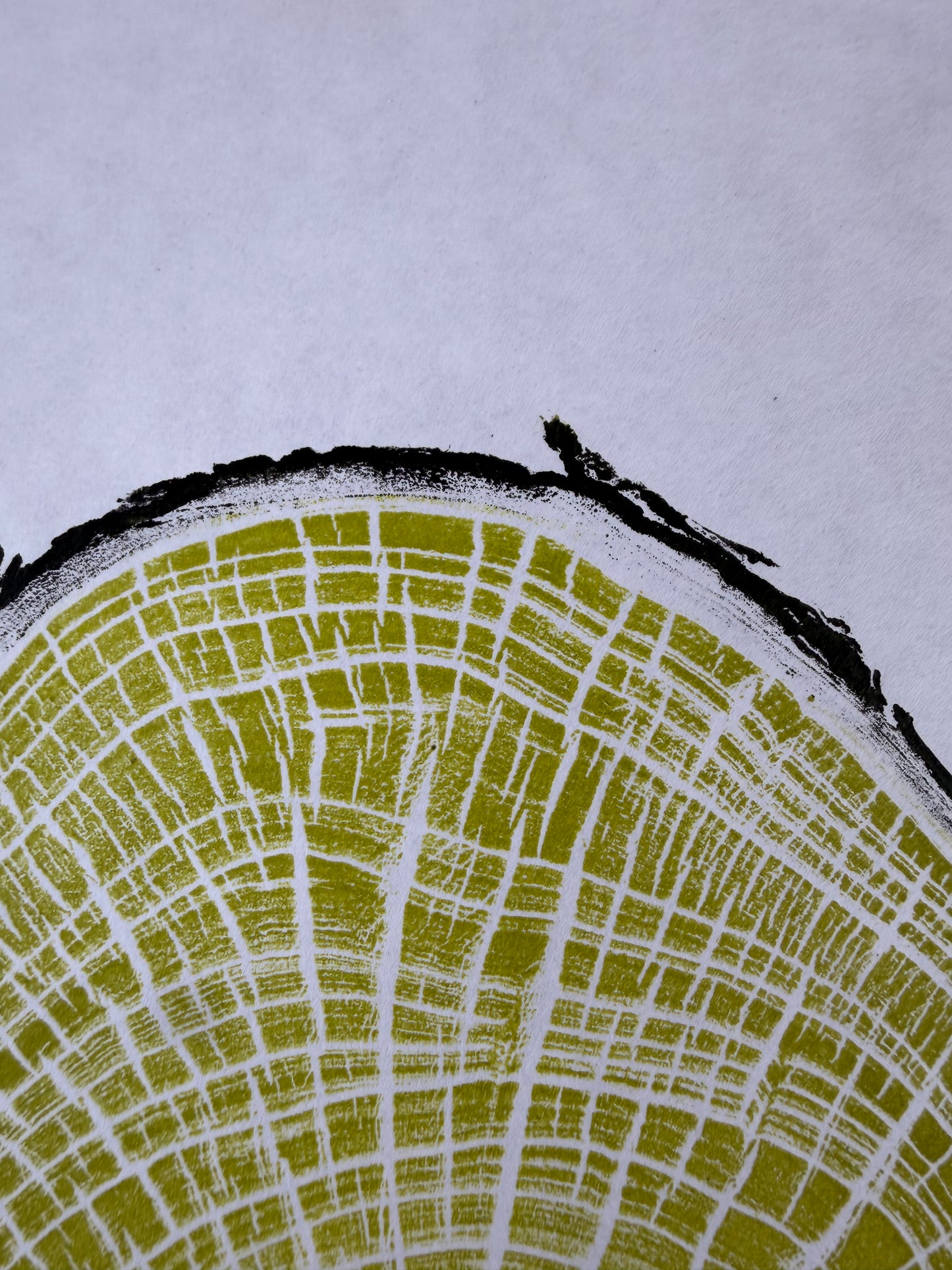 Handgedruckter GrilloWoodPrint aus Kirschholz.
Die gelb-schwarze Relief-Ink-Mischung betont die natürliche Struktur des Holzes und macht jedes Exemplar zu einem einzigartigen Naturunikat.
Gedruckt auf hochwertigem Papier.
Limitierte Edition.
