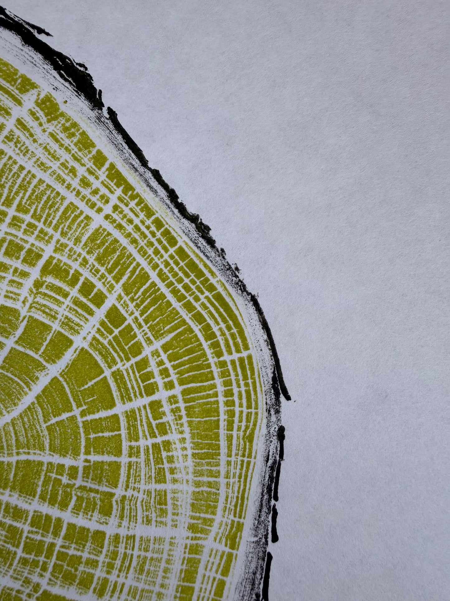 Handgedruckter GrilloWoodPrint aus Kirschholz.
Die gelb-schwarze Relief-Ink-Mischung betont die natürliche Struktur des Holzes und macht jedes Exemplar zu einem einzigartigen Naturunikat.
Gedruckt auf hochwertigem Papier.
Limitierte Edition.
