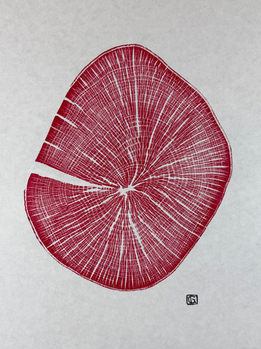 Handgedruckter GrilloWoodPrint aus Buchenholz.
Die rote Relief-Ink-Mischung betont die natürliche Struktur des Holzes und macht jedes Exemplar zu einem einzigartigen Naturunikat.
Gedruckt auf hochwertigem Papier.
Limitierte Edition.