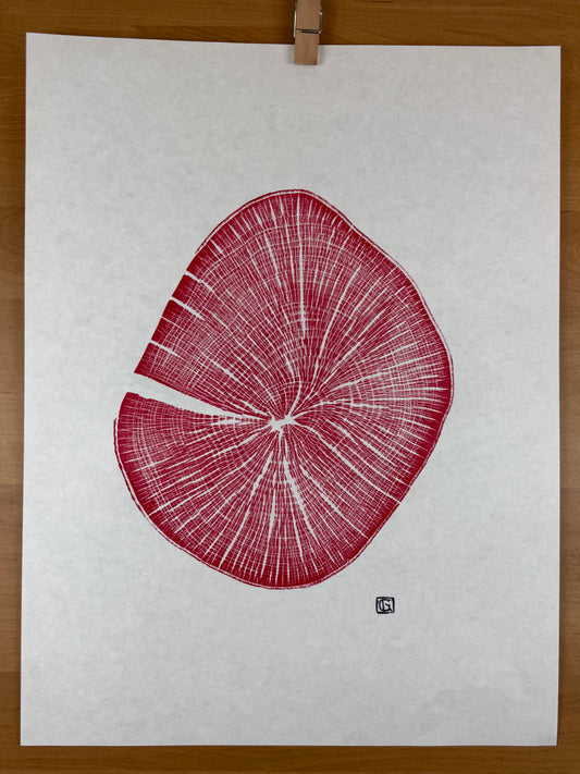 Handgedruckter GrilloWoodPrint aus Buchenholz.
Die rote Relief-Ink-Mischung betont die natürliche Struktur des Holzes und macht jedes Exemplar zu einem einzigartigen Naturunikat.
Gedruckt auf hochwertigem Papier.
Limitierte Edition.